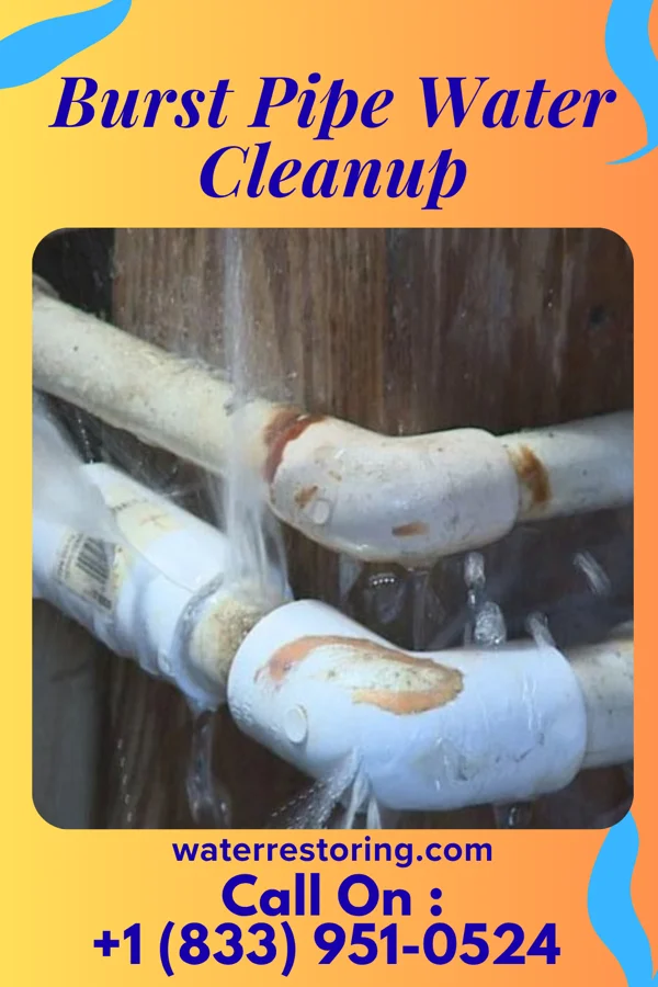 Burst Pipe Water Cleanup in Williamstown, WV