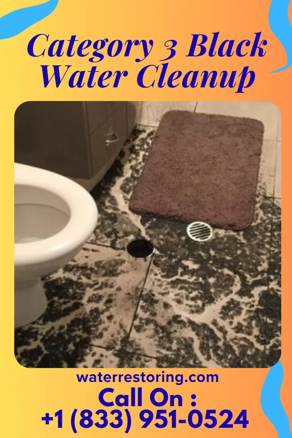 Category 3 Black Water Cleanup in Williamstown, WV