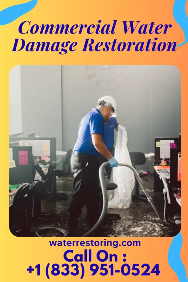 Commercial Water Damage Restoration in Williamstown, WV