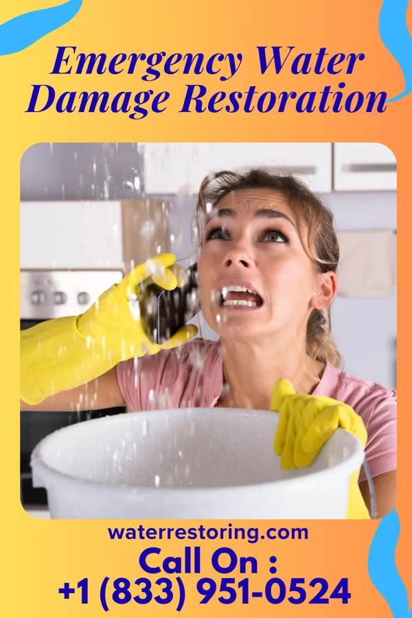 Emergency Water Damage Restoration in Williamstown, WV
