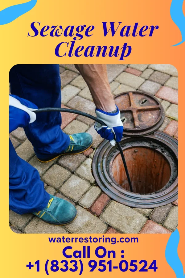Sewage Water Cleanup in Williamstown, WV